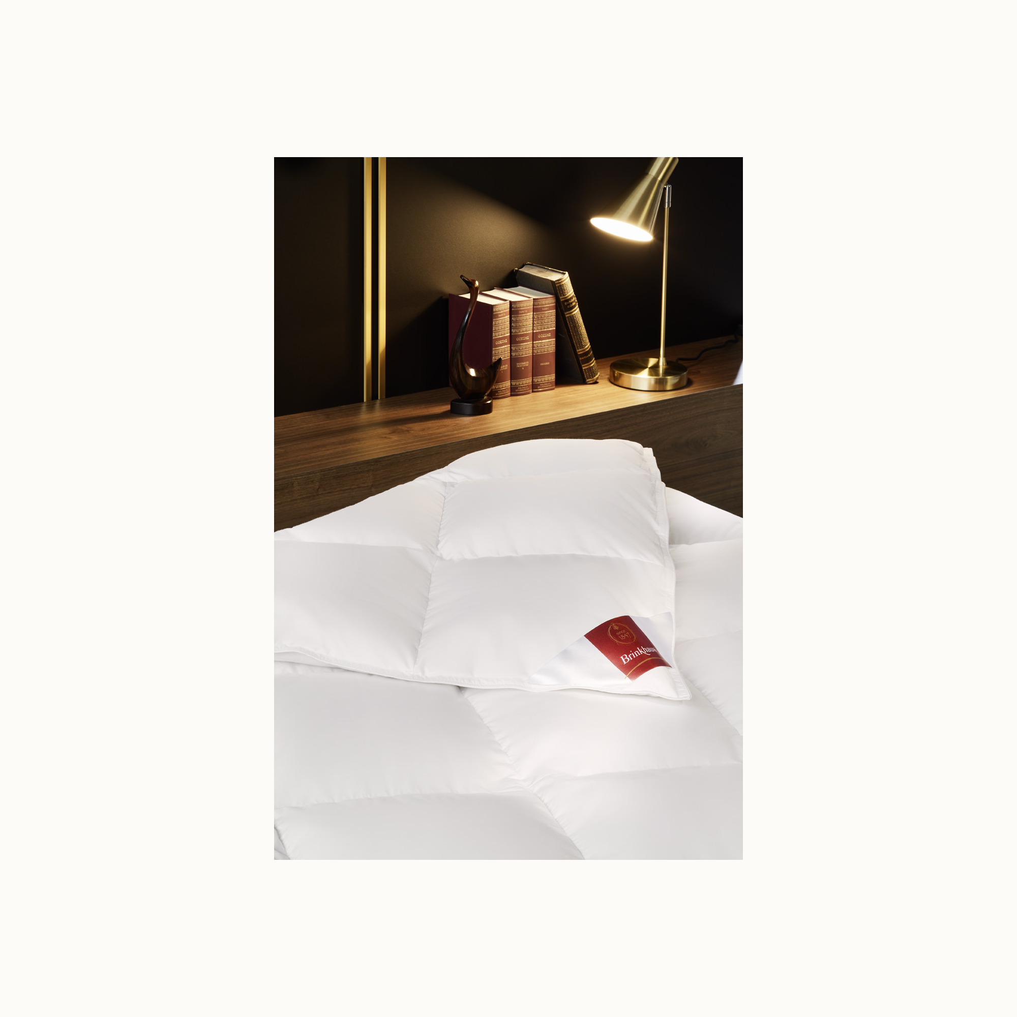 Classica medium dons